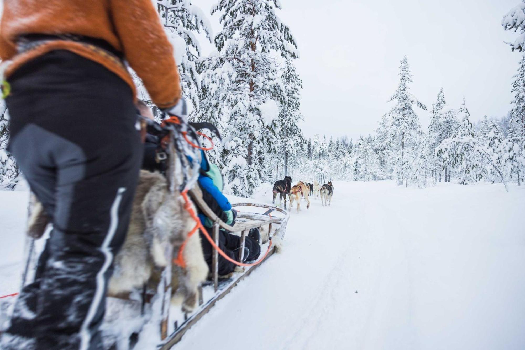 Reindeer Manor Levi Hotell Eksteriør bilde